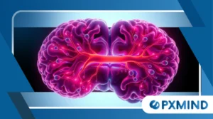 Dopamine and the Brain: Understanding the Motivation Chemical