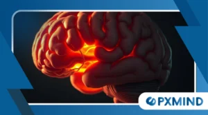 How Stress Affects Your Brain: Long-Term Impacts and Solutions