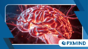 The Brain’s Reward System: Why We Seek Pleasure