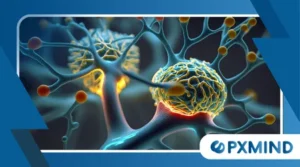 Neuroplasticity: How Your Brain Rewires Itself