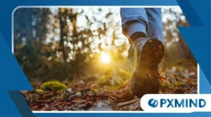 How Nature Walks Improve Your Mental