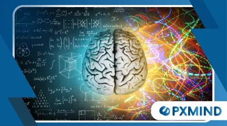 How the Brain Processes Emotions