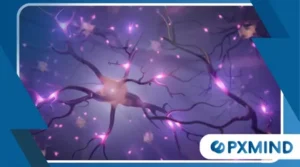 Neuroscience Behind Focus: How the Brain Maintains Attention in a Distracting World