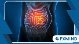 The Link Between Gut Health and Brain Function
