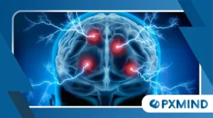How the Brain Handles Change and Uncertainty