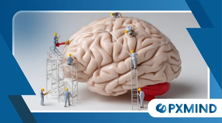 The Teenage Brain: Why It’s Wired for Risk