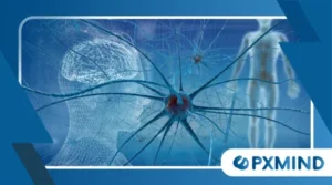 Understanding Mirror Neurons and Social Connection