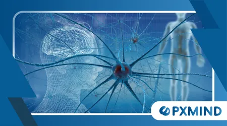 Understanding Mirror Neurons and Social Connection