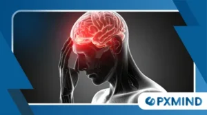 The Neurological Basis of Impulse Control