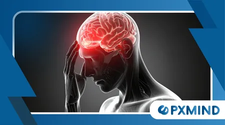 The Neurological Basis of Impulse Control