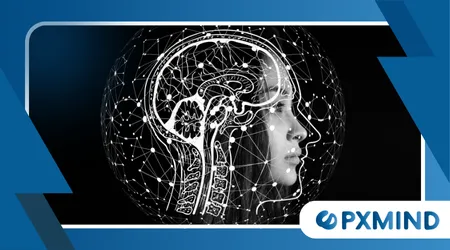 How the Brain Predicts What Happens Next