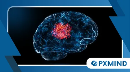 How the Brain Prioritizes Information Without You Noticing