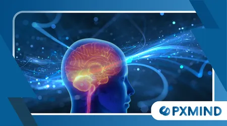 How Neural Synchronization Affects Human Brain Performance