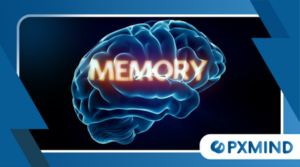 Why Knowledge Retention Loops Improve Long-Term Memory