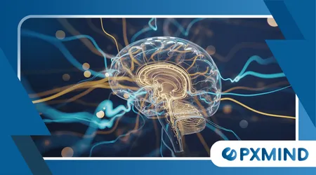 How Salience Network Activity Shapes Daily Attention